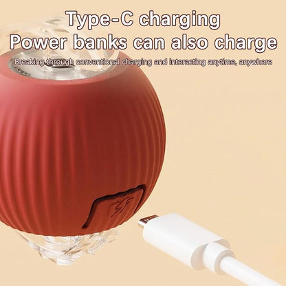 Interactive Cat Toy, Electric Dog BallToy, Cat Toys - Image 8