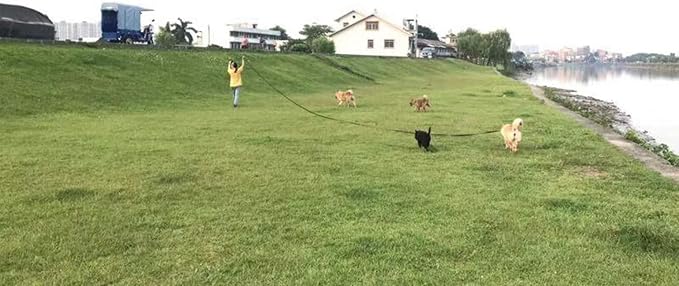 AMAGOOD Dog/Puppy Obedience Recall Training Agility Lead-15 ft 20 ft 30 ft 50 - Image 5