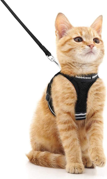 rabbitgoo Cat Harness and Leash Set by rabbitgoo
