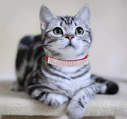 THAIN Rhinestones Cat Dog Collar Soft Velvet Safe Adjustable Collar Bling - Image 5