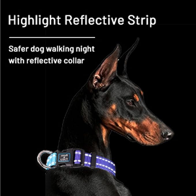 Roses&Poetry Reflective Dog Collar - Image 4