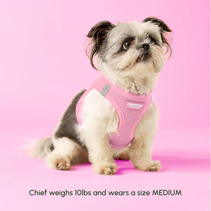 Downtown Pet Supply Step-in Dog Harness – No Pull, Adjustable Padded Mesh - Image 2