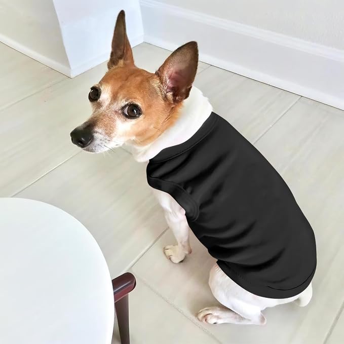 Personalized Dog Shirt Custom Pet T Shirts - Image 5