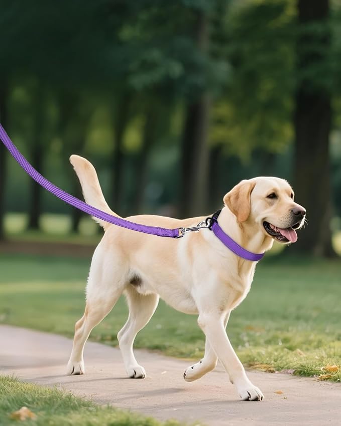 Joytale Large Dog Collar, Reflective and Adjustable Nylon Pet Collar - Image 6