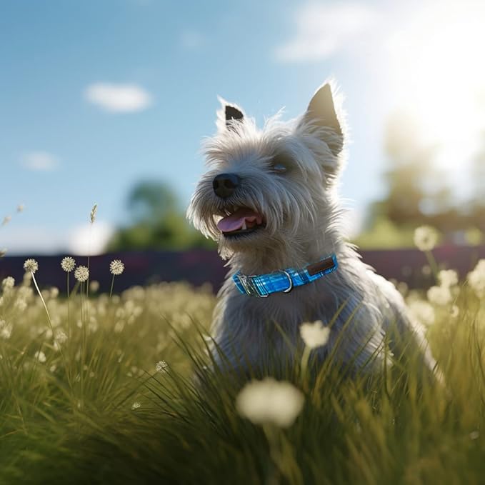 Unique Style Paws Dog Collar - Image 5
