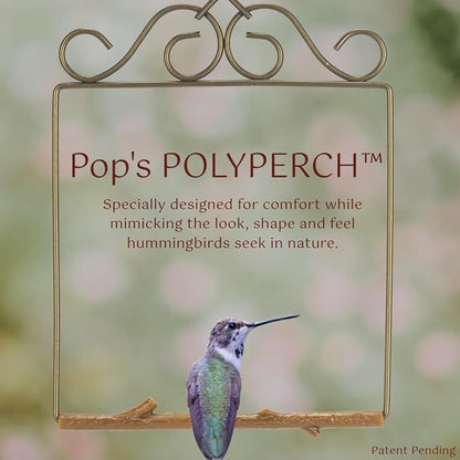 The Original Hummingbird Swing for Outdoors - Image 3