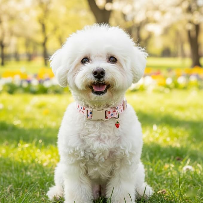 Girl Dog Collar, Cute Dog Collar - Image 7