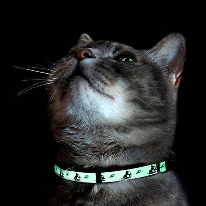 Pawtitas Glow in The Dark Cat Collar - Image 7