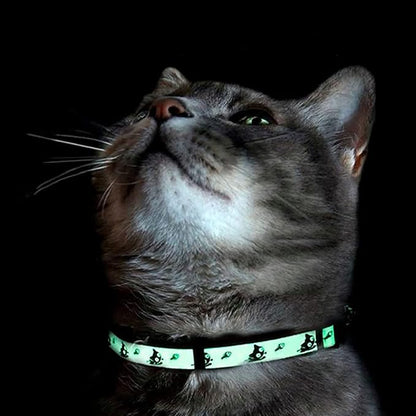 Pawtitas Glow in The Dark Cat Collar - Image 8