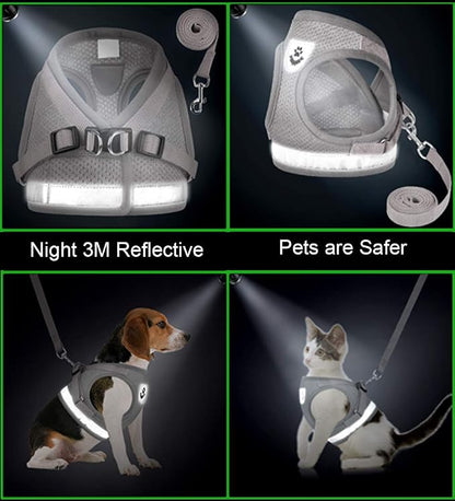 Cat Harnesses and Puppy Harness - Image 5