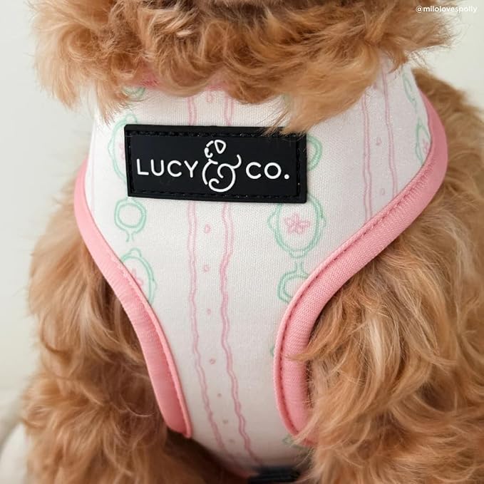 Lucy & Co. Sipping Slowly Reversible Dog Harness, Adjustable Comfort Fit - Image 7