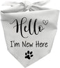 Hello I'm New Here Dog Bandana, New Puppy Reveal Party Photo Prop, Cute New by Joyriza