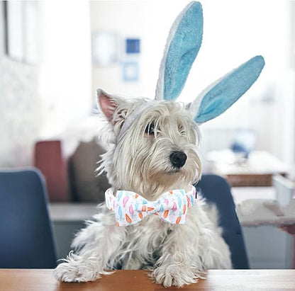 Lionheart glory Easter Dog Collar - Image 5