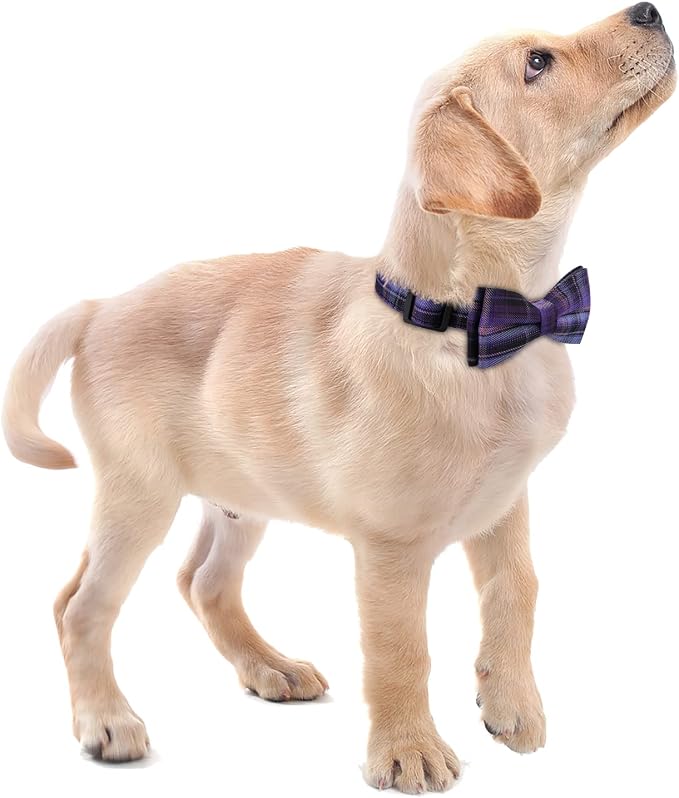 Faleela Soft &Comfy Bowtie Dog Collar, Detachable and Adjustable Bow Tie Collar - Image 6