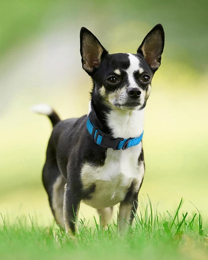 Joytale Reflective Dog Collar, Soft Neoprene Padded Breathable Nylon Pet Collar - Image 6