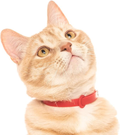 5 Pack Breakaway Cat Collar - Image 5