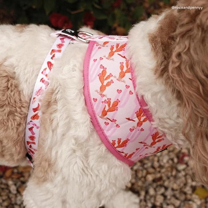 Lucy & Co. Cute Reversible Dog Harness Walking Halter - Image 6