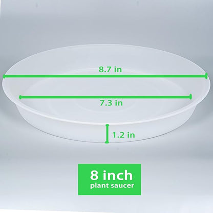 2 Pack of 8 inch Plant Saucer Clear, Heavy Duty Plastic Plant Water Tray 8 inch - Image 2