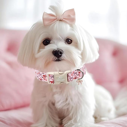 Girl Dog Collar for Medium Dogs - Image 2