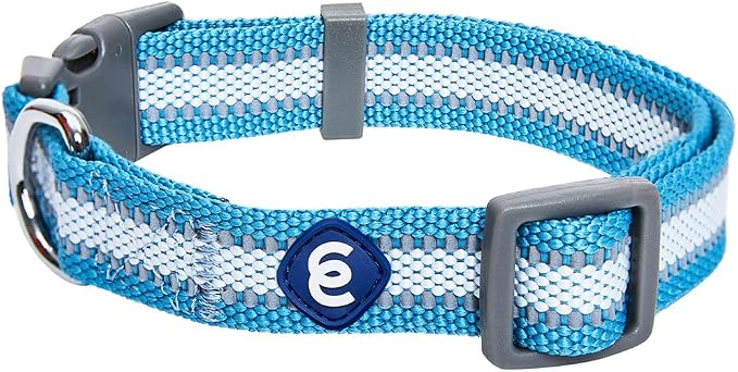 Blueberry Pet Essentials Matching Small Dog Collar | Adjustable Classic Solid by BlueberryPet