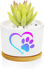 Love Dog Claw Planter Pots, Dog Loves Gifts by Databa