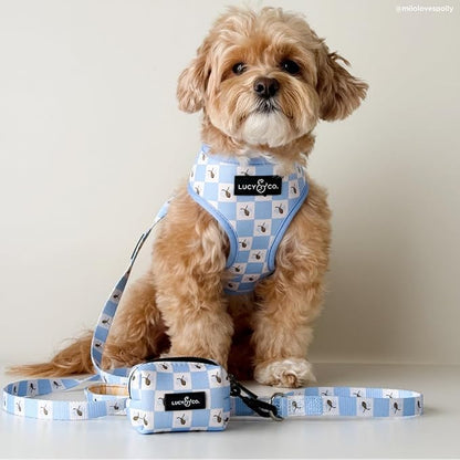 Lucy & Co. Bumbling Around Reversible Dog Harness, Adjustable Comfort Fit - Image 2