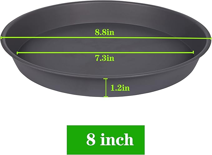 2 Pack of 8 inch Plant Saucer Clear, Heavy Duty Plastic Plant Water Tray 8 inch - Image 2