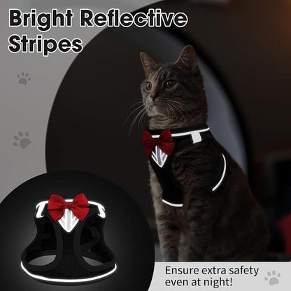 Cat Vest Harness and Leash Set for Walking Escape Proof, Adjustable Kitten - Image 6