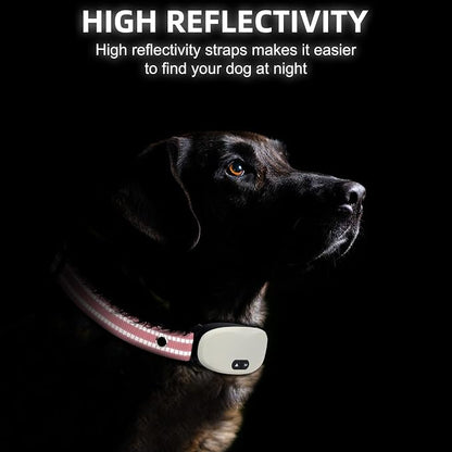 Collar Replacement Strap, Reflective Replacement Nylon Collar Strap Dog GPS - Image 2