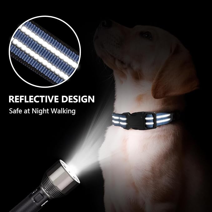 Martingale Dog Collar, Adjustable Nylon Reflective Collar - Image 2