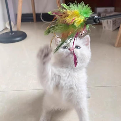 Cat Wand, All Breed Sizes - Image 6
