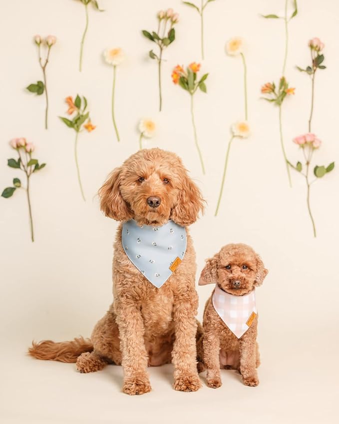 Remy+Roo Extra Large Spring Dog Bandanas - Image 2