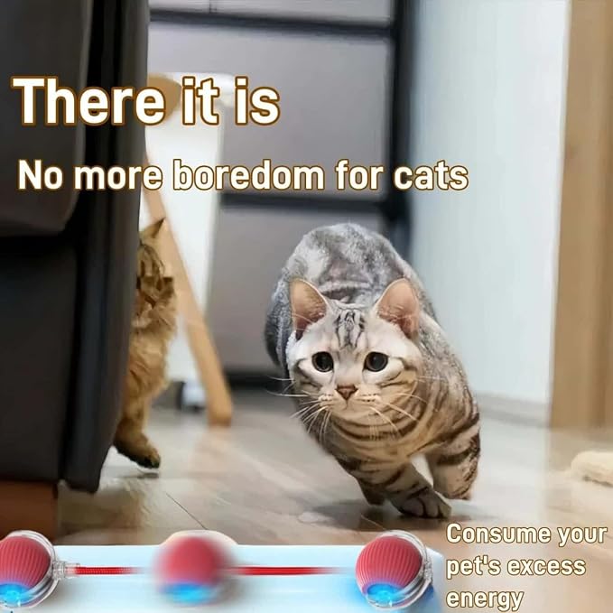 Interactive Cat Toys for Indoor Cats, Agility Move Cat Balls, Motion Activated - Image 6