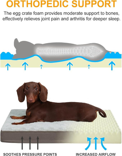 KSIIA Orthopedic Dog Bed, Egg Crate Foam Pet Mat - Image 2