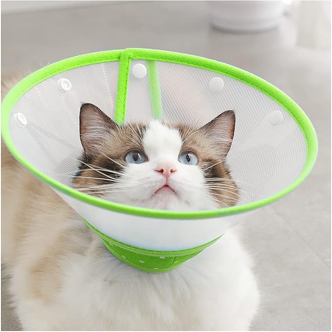 Pet Cone Recovery Dog Cone Adjustable Dog Collar Clear Padded Collar - Image 4