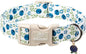 Spring/Summer Dog Collar for Small Dogs by Babolepet