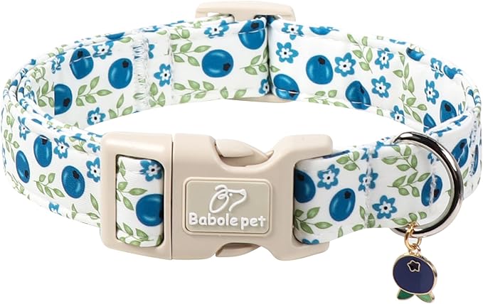 Spring/Summer Dog Collar for Medium Dogs by Babolepet