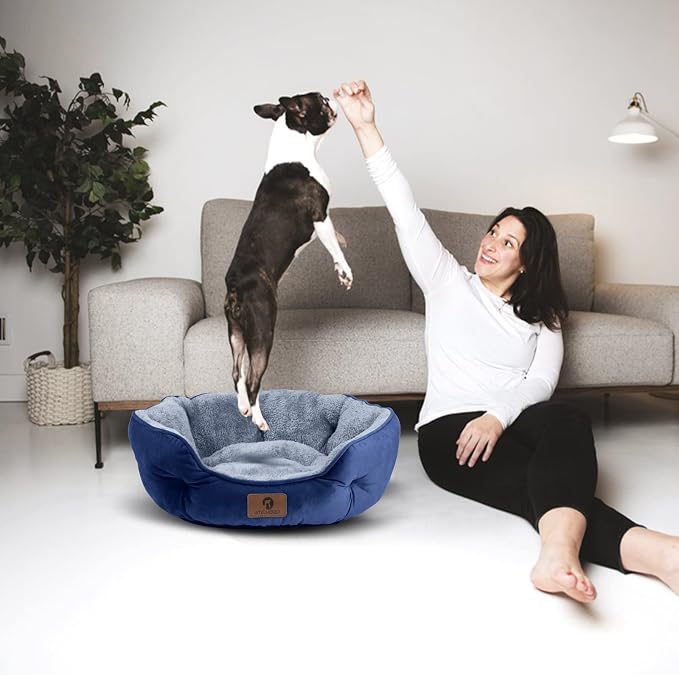 Asvin Small Dog Bed for Small Dogs, Cat Beds for Indoor Cats, Pet Bed for Puppy - Image 5