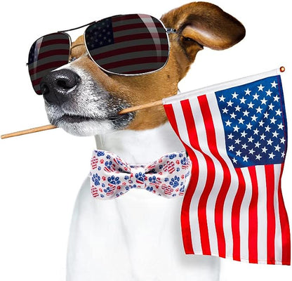 Lionheart American Flag Dog Collar - Image 6