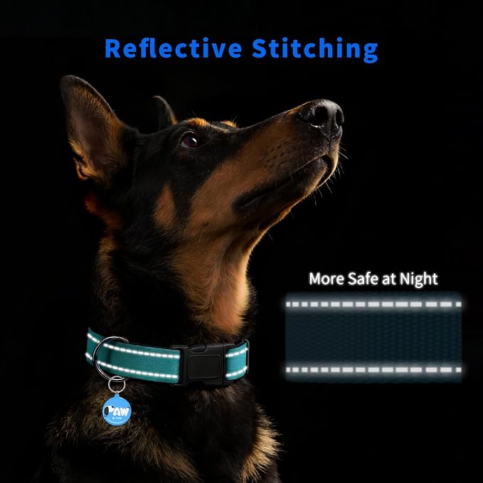 Reflective Dog Collar for Extra Small Dogs - Image 3