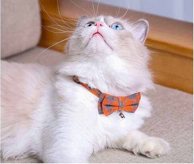 Orange Plaid Bow Cat Collar - Image 6