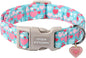Unique style paws Valentine's Day Dog Collar Plastic Buckle Collar by Uniquestylepaws