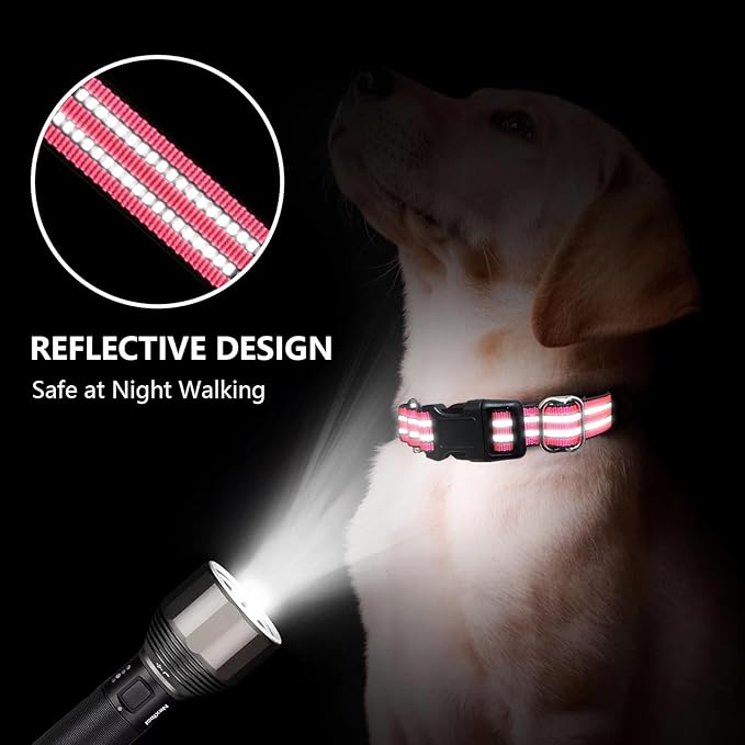 Martingale Dog Collar, Adjustable Nylon Reflective Collar - Image 2