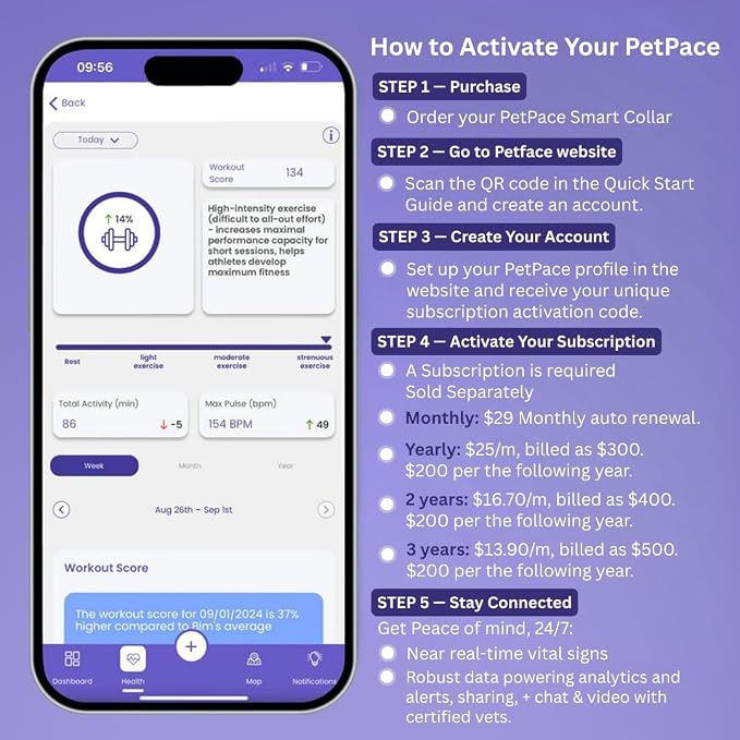 NEW Dog Health Monitor V3.0 by PetPace – AI Smart Collar - Image 3