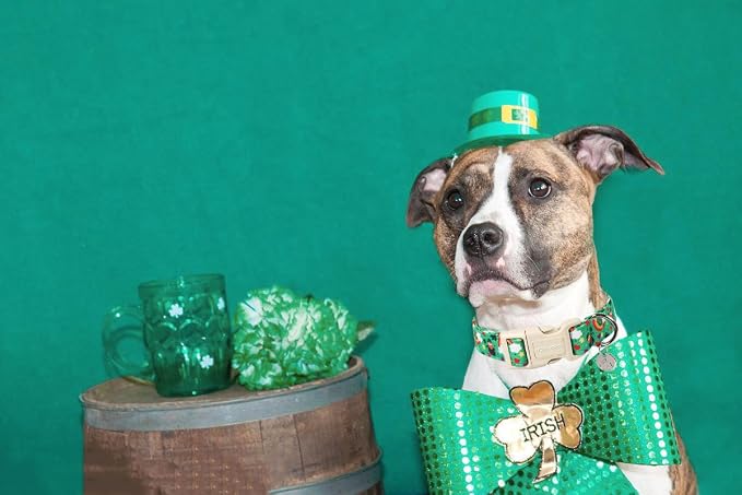 DOGWONG St. Patrick's Day Dog Collar, Lucky Clover Shamrock Green Dog Collar - Image 5