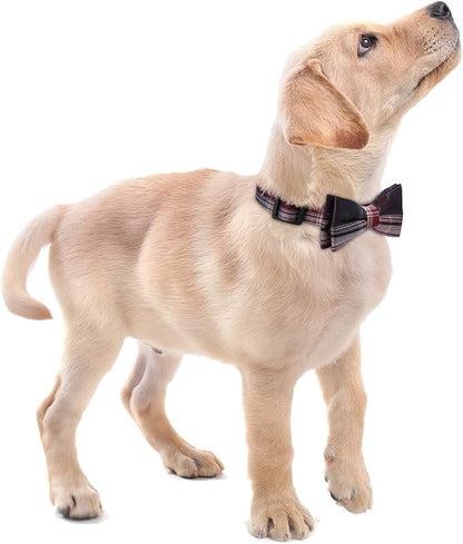 Faleela Soft &Comfy Bowtie Dog Collar, Detachable and Adjustable Bow Tie Collar - Image 5