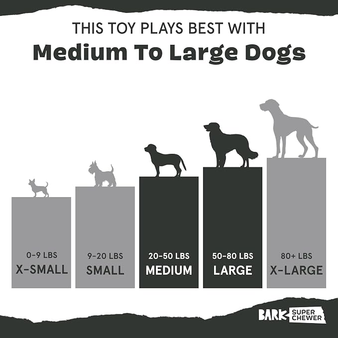 Barkbox Dogness Monster Super Chewer Dog Chew Toy - Image 6