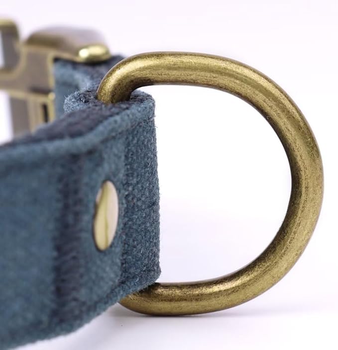 PET ARTIST Dog Collars for Small Dogs, Soft Padded Premium Nylon Dog Collar - Image 8