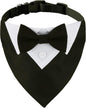 ADOGGYGO Formal Dog Tuxedo, Wedding Dog Collar by ADOGGYGO