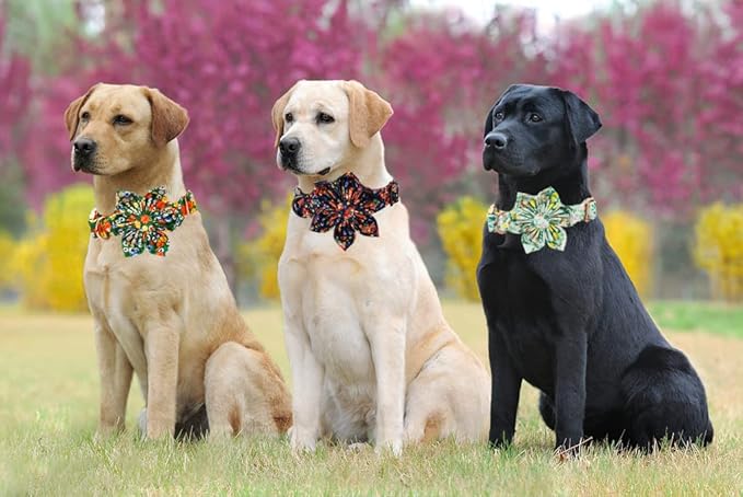 Lionheart Glory Cute Lemon Floral Pattern Adjustable Dog Collar - Image 6